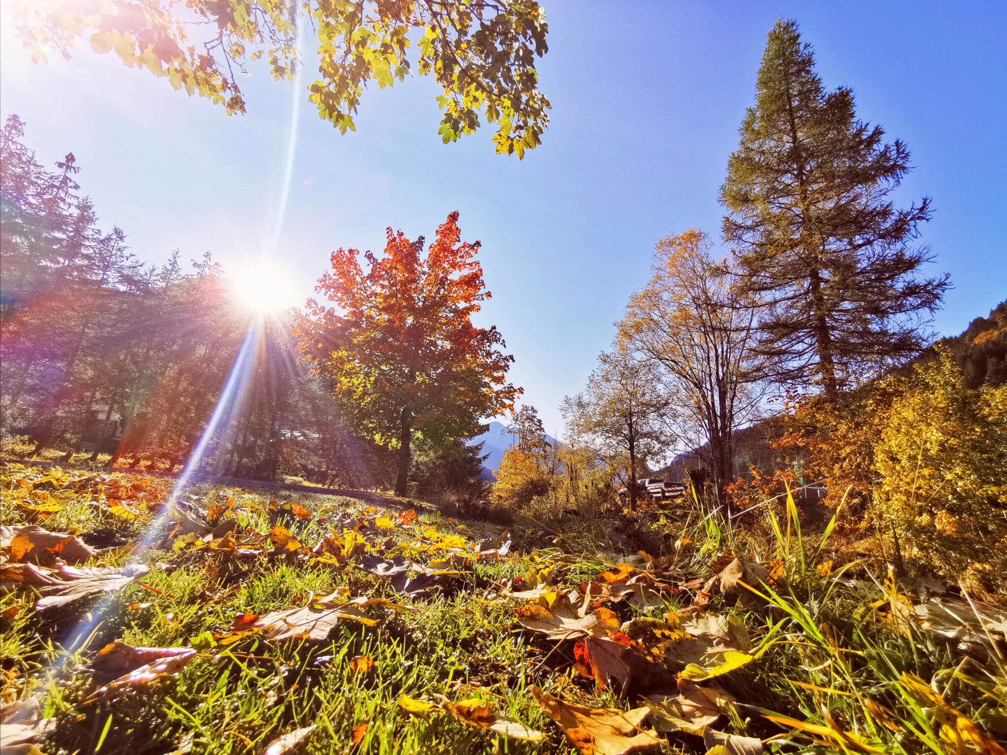 Spätsommer in unserem Garten im Vital- & Familienhotel Angerwirt in Kleinarl