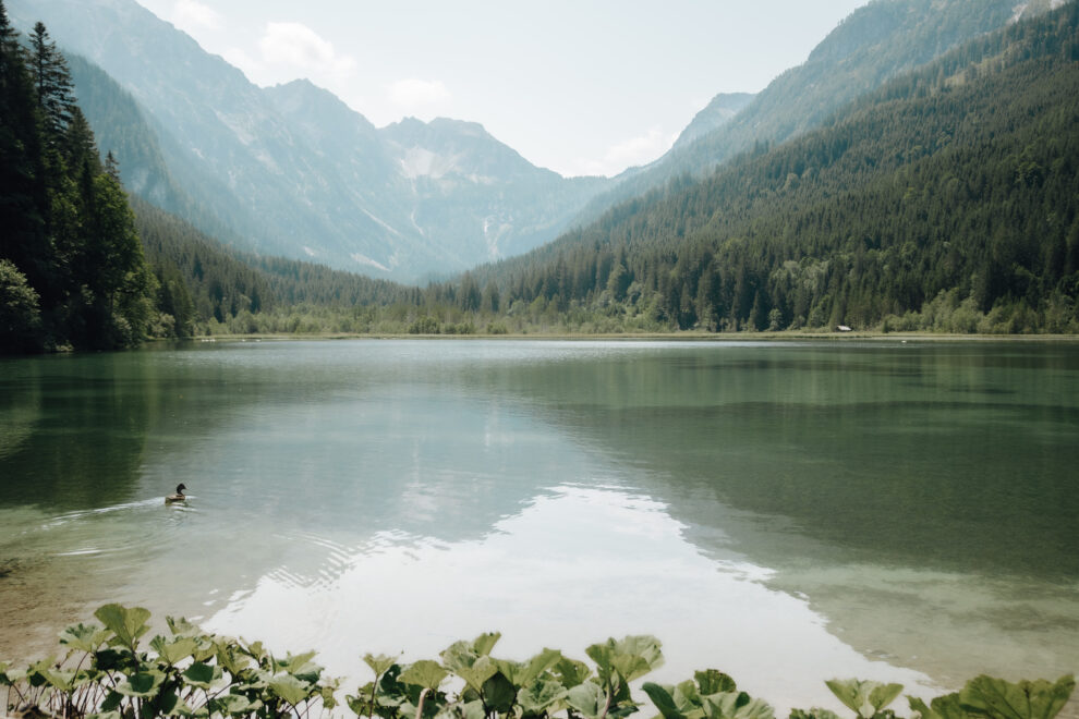 Der Jägersee: einer unserer liebsten Wege beginnt fast vor der Haustür vom Hotel Angerwirt in Kleinarl Der Jägersee: einer unserer liebsten Wege beginnt fast vor der Haustür vom Hotel Angerwirt in Kleinarl